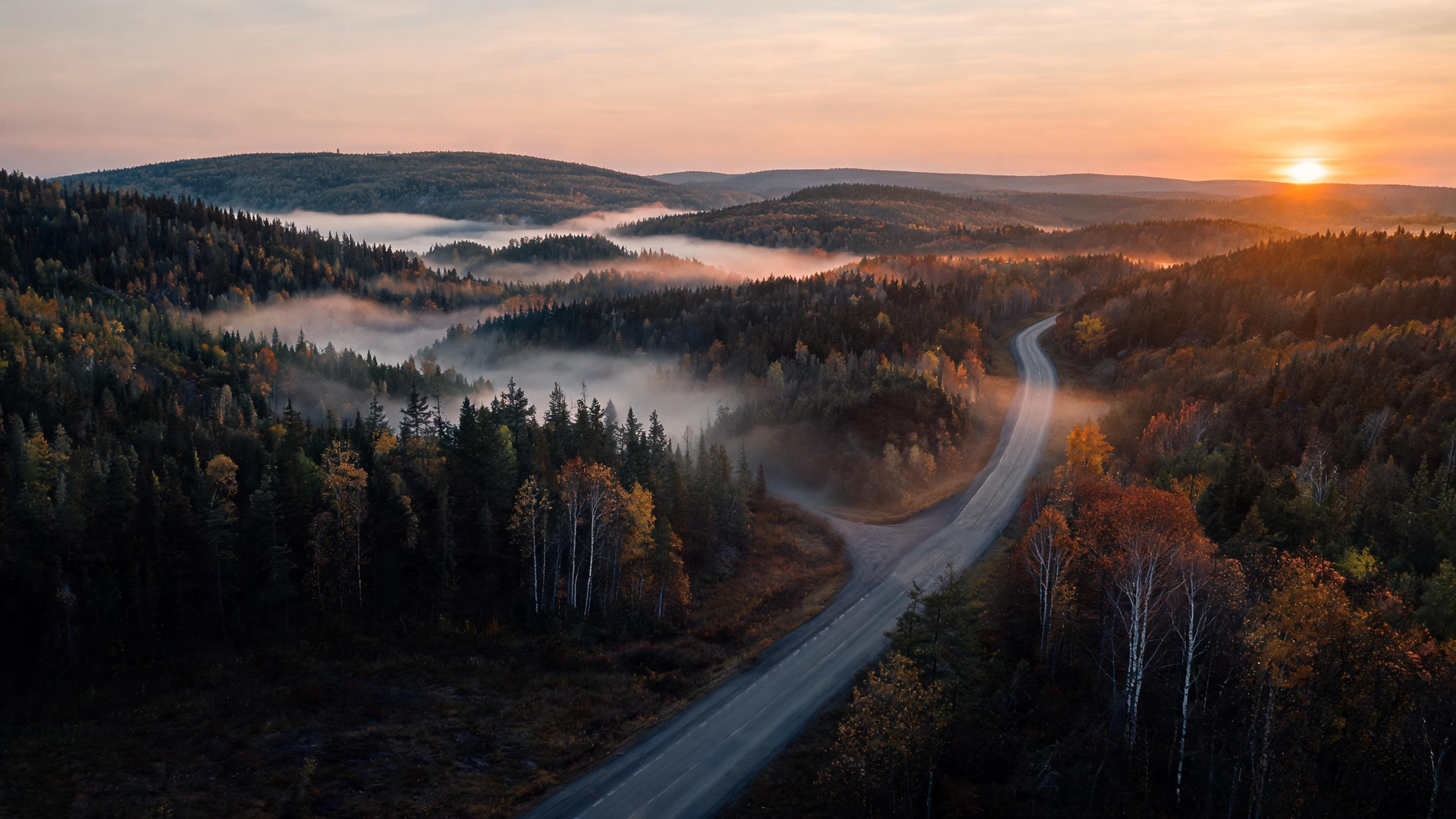 A two-lane road curving through autumn boreal forest at sunrise, mist lying in the hollows between low wooded hills